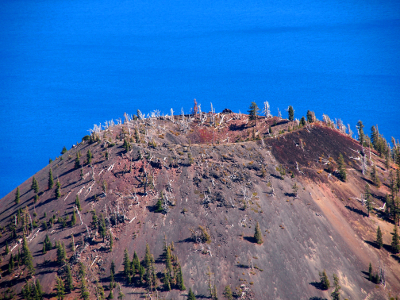 [The top of the mountain is missing and a little depressed so sort of like a shallow bowl. There are a number of white tree trunks upright and lying on the ground as well as scattered growing evergreen, but the ground is mostly bare.]